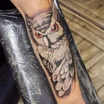 Фото пример рисунка тату сова 13,12,2021 - №309 - Owl Tattoo - tatufoto.com