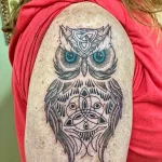 Фото пример рисунка тату сова 13,12,2021 - №323 - Owl Tattoo - tatufoto.com