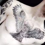 Фото пример рисунка тату сова 13,12,2021 - №349 - Owl Tattoo - tatufoto.com