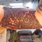 Фото пример рисунка тату сова 13,12,2021 - №359 - Owl Tattoo - tatufoto.com