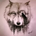Фото рисунка тату волк белый 16.12.2021 №0009 - Wolf tattoo - tatufoto.com