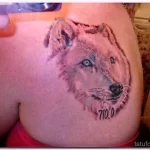 Фото рисунка тату волк белый 16.12.2021 №0031 - Wolf tattoo - tatufoto.com