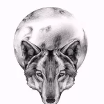 Фото рисунка тату волк и луна 16.12.2021 №0016 - Wolf tattoo - tatufoto.com
