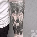 Фото рисунка тату волк мужская 16.12.2021 №0069 - Wolf tattoo - tatufoto.com