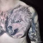 Фото рисунка тату волк мужская 16.12.2021 №0111 - Wolf tattoo - tatufoto.com