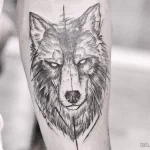 Фото рисунка тату волк мужская 16.12.2021 №0115 - Wolf tattoo - tatufoto.com