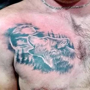 Фото тату: татуировка волка, воющего на фоне леса, выполненная в синих и серых тонах на мужской груди. Красивый и атмосферный рисунок татуировки.