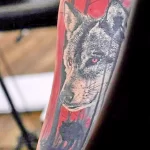Фото рисунка тату волк на руке 16.12.2021 №0050 - Wolf tattoo - tatufoto.com