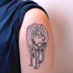 Фото рисунка тату волк на руке 16.12.2021 №0052 - Wolf tattoo - tatufoto.com