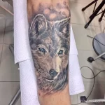 Фото рисунка тату волк на руке 16.12.2021 №0083 - Wolf tattoo - tatufoto.com