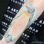 Фото тату пингвин 06,12,2021 - №305 - penguin tattoo - tatufoto.com