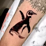 Фото тату пингвин 06,12,2021 - №313 - penguin tattoo - tatufoto.com