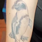 Фото тату пингвин 06,12,2021 - №401 - penguin tattoo - tatufoto.com