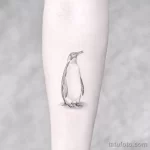 Фото тату пингвин 06,12,2021 - №408 - penguin tattoo - tatufoto.com