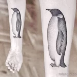 Фото тату пингвин 06,12,2021 - №494 - penguin tattoo - tatufoto.com