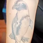Фото тату пингвин 06,12,2021 - №519 - penguin tattoo - tatufoto.com