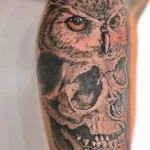 Фото тату сова с черепом 13,12,2021 - №001 - Owl Tattoo With Skull - tatufoto.com