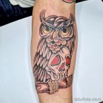Фото тату сова с черепом 13,12,2021 - №019 - Owl Tattoo With Skull - tatufoto.com