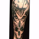 Фото тату сова с черепом 13,12,2021 - №041 - Owl Tattoo With Skull - tatufoto.com