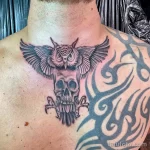 Фото тату сова с черепом 13,12,2021 - №062 - Owl Tattoo With Skull - tatufoto.com