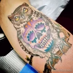 Фото тату сова с черепом 13,12,2021 - №066 - Owl Tattoo With Skull - tatufoto.com