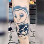 Фото тату сова с черепом 13,12,2021 - №071 - Owl Tattoo With Skull - tatufoto.com