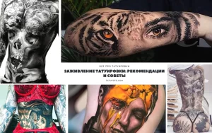 Фотография коллажа, включающего изображения черепа, тигра, глаза, а также текст с рекомендациями по заживлению татуировок.