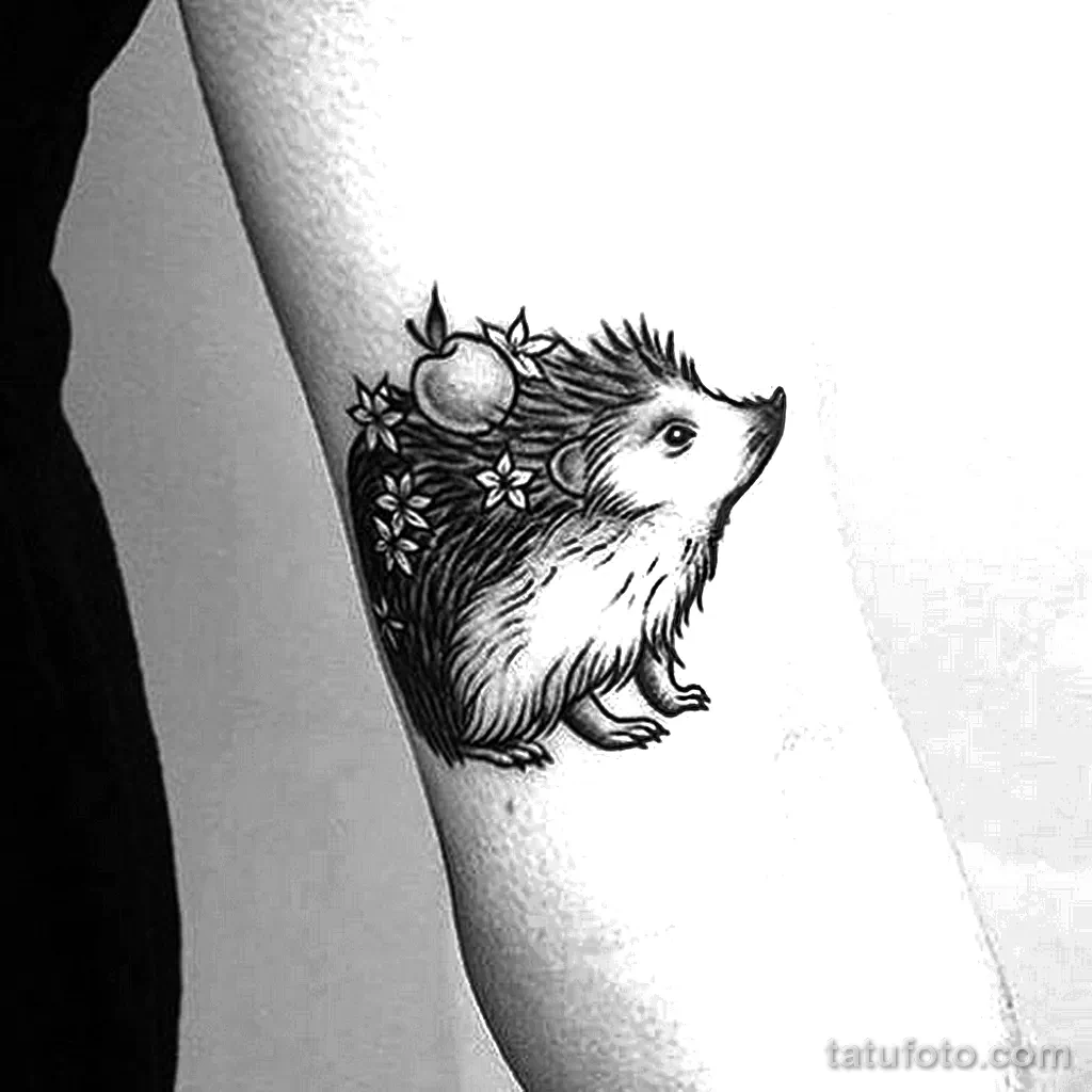 Рисунок тату с Ёжиком - фото пример 23.01.22 №0039 - hedgehog tattoo tatufoto.com