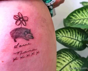 Рисунок тату с Ёжиком - фото пример 23.01.22 №0455 - hedgehog tattoo tatufoto.com