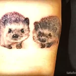 Рисунок тату с Ёжиком - фото пример 23.01.22 №1372 - hedgehog tattoo tatufoto.com