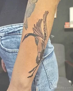 Рисунок татуировки с Журавлем 25.01.22 №0503 - Crane tattoo drawing tatufoto.com