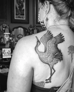 Фото татуировки журавля в полете, выполненной в черно-серых тонах на плече и спине. Рисунок татуировки отличается детализацией и реалистичностью.