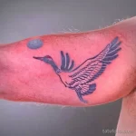 Рисунок татуировки с Журавлем 25.01.22 №0764 - Crane tattoo drawing tatufoto.com