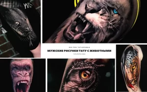 Коллаж из нескольких фотографий мужских татуировок с изображением различных животных: змеи, тигра, гориллы, совы и леопарда.