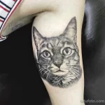 Мужской рисунок тату с животным 21.02.22 №0048 - Male animal tattoo tatufoto.com