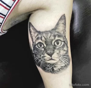 Фото реалистичной татуировки кошки на руке. Детализированный портрет кошки с выразительными глазами и проработанной шерстью.