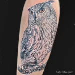Мужской рисунок тату с животным 21.02.22 №0126 - Male animal tattoo tatufoto.com