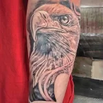 Мужской рисунок тату с животным 21.02.22 №0398 - Male animal tattoo tatufoto.com