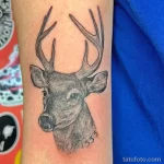 Мужской рисунок тату с животным 21.02.22 №0488 - Male animal tattoo tatufoto.com