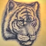Мужской рисунок тату с животным 21.02.22 №0512 - Male animal tattoo tatufoto.com