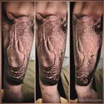 Мужской рисунок тату с животным 21.02.22 №0516 - Male animal tattoo tatufoto.com