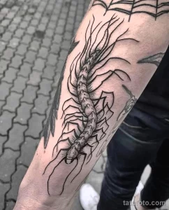 Фото тату скорпиона на руке, выполненное в технике blackwork. Детализированный рисунок с акцентом на сегменты тела и клешни.