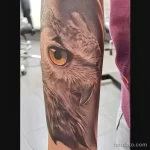 Мужской рисунок тату с животным 21.02.22 №0561 - Male animal tattoo tatufoto.com