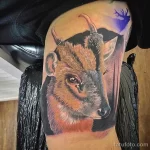 Мужской рисунок тату с животным 21.02.22 №0611 - Male animal tattoo tatufoto.com
