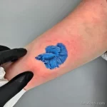 Фото примеры мини тату 16.02.22 №0040 - Miniature tattoos tatufoto.com