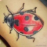 Фото тату Божья Коровка 17.02.22 №0003 - tattoo Ladybug tatufoto.com