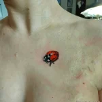 Фото тату Божья Коровка 17.02.22 №0007 - tattoo Ladybug tatufoto.com