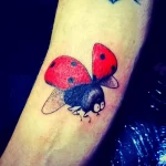 Фото тату Божья Коровка 17.02.22 №0019 - tattoo Ladybug tatufoto.com