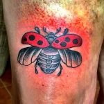 Фото тату Божья Коровка 17.02.22 №0033 - tattoo Ladybug tatufoto.com