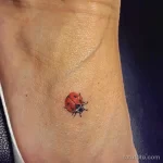 Фото тату Божья Коровка 17.02.22 №0043 - tattoo Ladybug tatufoto.com